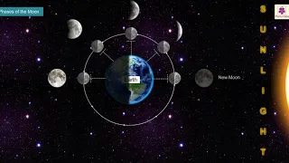 Phases Of Moon | Atlas | Periwinkle