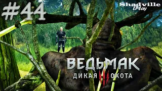 Снаряжение школы Кота и Лихо Лесное — The Witcher 3: Wild Hunt Прохождение игры #44