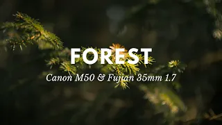 Fujian GDS CCTV 35mm f1.7 - Canon M50 cinematic