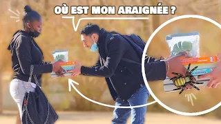 Prank - La Veuve Noire 🕷 L ’araignée la plus Venimeuse S'échappe ! - DIMI