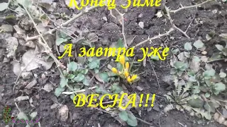 Донбассу МИР! А завтра весна