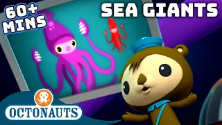 @Octonauts - Sea Giants | 60 Mins+ Compilation | Cartoons for Kids | Underwater Sea Education