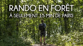 Les meilleures randonnées autour de Paris #3 - La forêt de Meudon