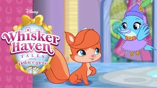 Welcome to Whisker Haven | Whisker Haven Tales with the Palace Pets | Disney Junior