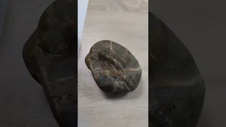 Окаменевшее сердце неизвестного существа. The petrified heart of an unknown creature.