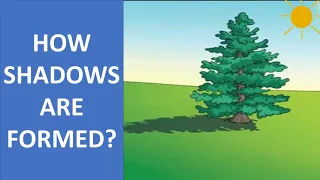 HOW SHADOWS ARE FORMED? || SCIENCE EDUCATIONAL VIDEO