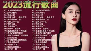 大陸流行歌曲 2023流行歌曲 | 2023最新歌曲 2023好听的流行歌曲 | Top Chinese Songs 2023【動態歌詞】 : 不过人间, 别怕我伤心, 等你等到白了头 #12