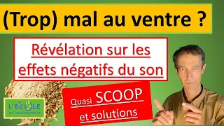 Mal au ventre ?  inflammation des intestins ? Attention au son et au blé complet !