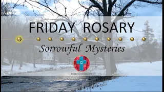 Friday Rosary • Sorrowful Mysteries of the Rosary 💜 February 9, 2024 VIRTUAL ROSARY - MEDITATION