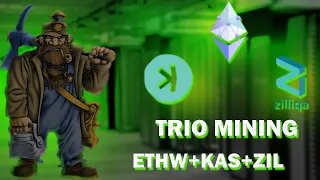 Трио майнинг #ETHW+ZIL+KAS  в HiveOS на пуле #woolypooly