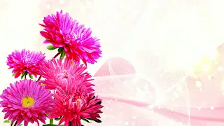 Футаж  Цветочный фон 8  Footage Floral background 8