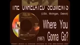 The Unrelated Segments - Where You Gonna Go? (1967)