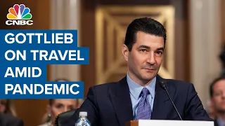 Fmr. FDA commissioner Dr. Scott Gottlieb on Covid-19 and travel