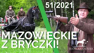 SUDECKA OSTOJA 51/2021. Polowanie na rogacze "z bryczki" w kole łowieckim "Świt". Hunting in Poland