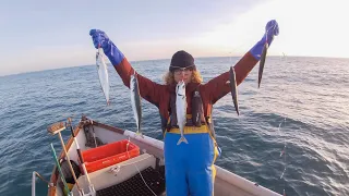 Commercial hand line Fishing for mackerel From Newlyn In Cornwall || Small Boat, Sustainable Fishing