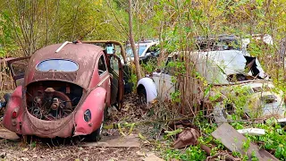 Back to the ScrapYard for the rare Vw Beetle & what other surprise finds ?