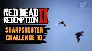 Red Dead Redemption 2 Sharpshooter Challenge #10 Guide - Kill 3 birds with 3 long scoped rifle shots