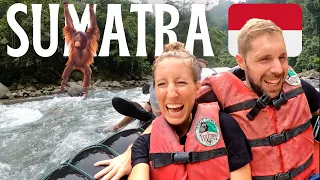 Orangutan JUNGLE TREK in Sumatra 🇮🇩Bukit Lawang, Nasi Goreng, Leeches, Tubing, Indonesia Travel Vlog