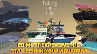 Fishing & Life | Top 20 Best 4 - 5 Star Fish in your Aquarium |