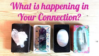 Pick a Card | What is Happening in Your Connection? NEW MOON Love Soul Mate Twin Flame Tarot Reading