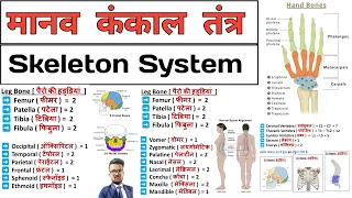 Skeleton System | कंकाल तंत्र | Bones | Anatomy and physiology | Anatomy in Hindi | Anatomy Notes