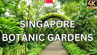 Singapore Botanic Gardens: Nature's Oasis in the Heart of the City  🇸🇬  Virtual Tour in 4K Ultra HD