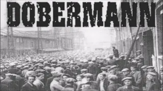 Dobermann - Joe