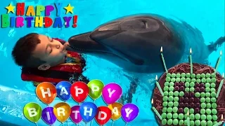С Днем Рожденья, Артур!  Happy Birthday Arthur! Купаемся с дельфинами и весело проводим время