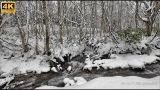 [4K ASMR] Mountain stream of the first snow, 4 hours / Healing / Nature sounds / Healing sounds