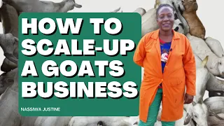 How to scale up the goats business. Imagine how much money you can make! Nassiwa Justin