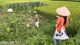 The poor girl hired a stranger to clear the grass to replant the newly harvested corn crop