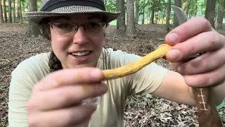 Bolete mushroom ID tips: Edible shaggy-stalked boletes and bitter ornate-stemmed boletes