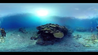 Дайвинг панорамное видео 3D  Diving panoramic video 3d