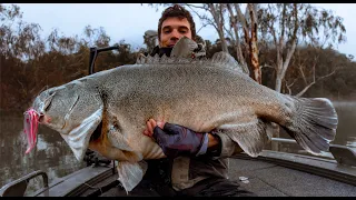 Meter Cod Mayhem in Eildon: Big Catches and Live Sonar Tactics Revealed!