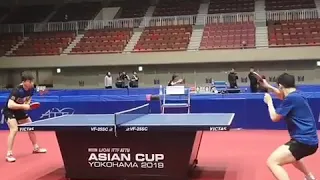 Asian cup 2019 training malong and fan zhendong table tennis