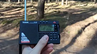 Радиолюбители 40 м не поделили частоту. Тольяттинский лес