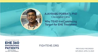 Why TEAD is a Convincing Target for EHE Treatment