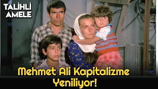 Talihli Amele | Mehmet Ali, Kapitalizme Yeniliyor