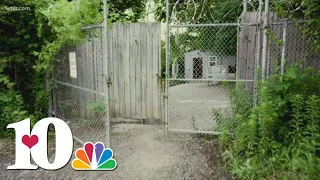 The Body Farm: What goes on behind the locked gates
