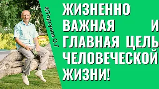 Жизненно важная и главная цель человеческой жизни! Торсунов лекции