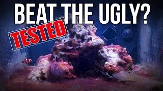 Can You Beat Algae or Skip the "Ugly Brown Phase" Using a UV Sterilizer in a New Saltwater Tank?