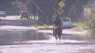 Border Patrol helps rescue 27 horses from flood waters