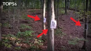 5 Strangest & Scariest Things Discovered in the Forest