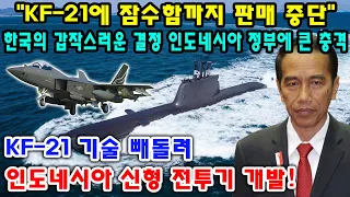 [긴급속보] "KF-21에 잠수함까지 판매 중단" 한국의 갑작스러운 결정 인도네시아 정부에 큰 충격.. KF-21 기술 빼돌려.. 인도네시아 신형 전투기 개발!