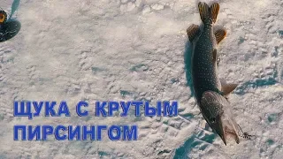 Рыбалка в Казахстане.  Щука с крутым пирсингом на жерлицу!