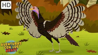 ¡Pavos! | ¡Feliz día de acción de gracias! [episodios completos] Aventuras con los Kratt