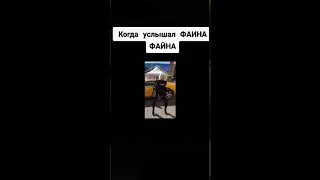 Когда услышал ФАИНА ФАЙНА