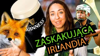 🇮🇪 12 zaskakujących rzeczy w Irlandii