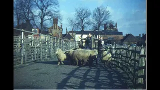 Sittingbourne Cattle Market