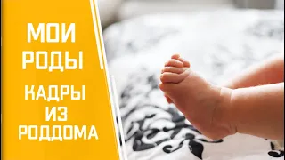 ИСТОРИЯ МОИХ РОДОВ 🤱 НАШ РОДДОМ